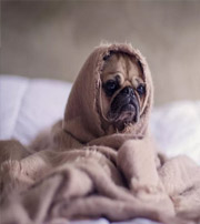 湘西有这样的手机号码，留不住钱，你中枪了吗？