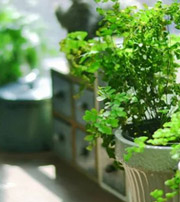 湘西专属于你的开运指南，助你鸿运当头福满身！