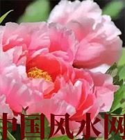 湘西预示你财运上升，姻缘可成的梦境，快来看看吧！