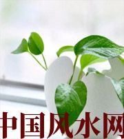 湘西家中摆放六种吉祥物，会打开您的财运大门！