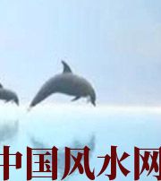 湘西做梦梦到这些，是要富裕的征兆！